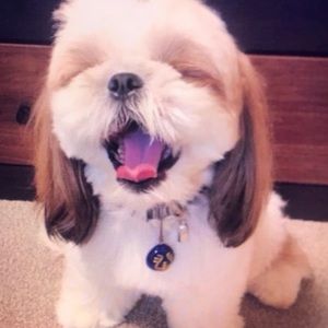 Meet your Posher, Adrian